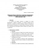 INSTRUCTIVO PARA EL PASAJE DE LA CANCHA DE INFILTRACIÓN Y ESGRIMA A LA BAYONETA A EFECTUARSE EN EL PERÍODO DE CAMPO: MACARAO – 2005