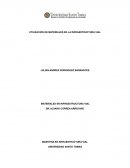 UTILIZACIÓN DE MATERIALES EN LA INFRAESTRUCTURA VIAL