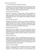 TEORIA DE INTERNACIONALIZACION