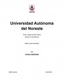 Ensayo Costos industriales