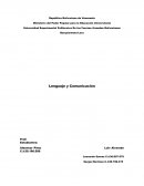 ¿Que son los vicios del lenguaje?