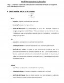 Perfil Perspectivas Culturales