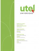 ¿Qué entiendes por formación profesional?