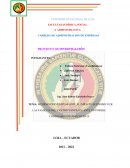 Impacto del covid - 19 en el Ecuador