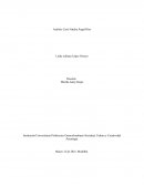 Análisis Caso Natalia Ángel Ríos