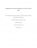 CELEBRACIÓN DEL CARNAVAL TRADICIONAL EN CUENCA EN EL AÑO 2020