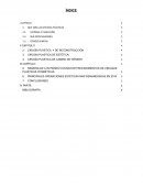 Monografìa de Cirugìas Plàsticas