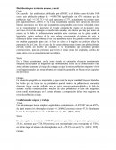 Distribución por territorio urbano y rural: Costa