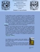 Análisis cuantitativo de calibración que implica la construcción de una curva de calibración