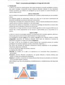 Los procesos psicológicos a lo largo del ciclo vital