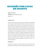 SUCESIÓN POR CAUSA DE MUERTE