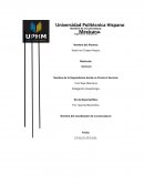 Servicio social en Cruz Roja