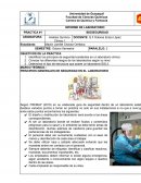 PRINCIPIOS GENERALES DE SEGURIDAD EN EL LABORATORIO