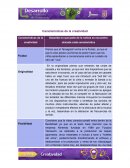 Características de la creatividad