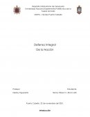 Defensa Integral de la Nación - Monografía
