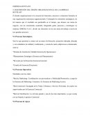 Empresa REYPLAST diseño organizacional