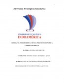 IDENTIFICAR UNA FIGURA JURÍDICA DE DERECHO Y DESARROLLAR SU EVOLUCIÓN EN TODAS LAS ETAPAS