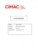 TEXTO ARGUMENTATIVO RIOS PROFUNDOS