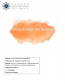 LA PSICOPATOLOGÍA DE LA INFANCIA Y LA ADOLESCENCIA: CONSIDERACIONES BÁSICAS PARA SU ESTUDIO