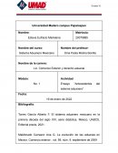 Antecedentes del sistema aduanero