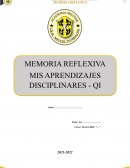 Memoria reflexiva aprendizajes disciplinares