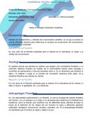 Principales Disciplinas Filosóficas