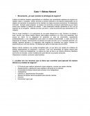 Caso 1: Beleza Natural