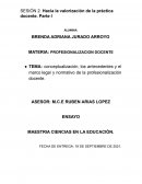 Profesionalizacion docente