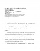 Los videojuegos como herramienta de aprendizaje autónomo