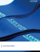 TRABAJO FINAL . CASO NETFLIX