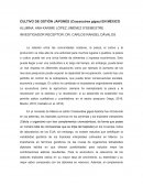 CULTIVO DE OSTION JAPONES EN MÉXICO