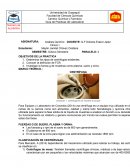 Química y Farmacia Guía de Prácticas de Laboratorio
