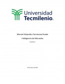 Analisis del consumidor, inteligencia de mercados