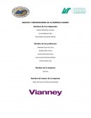 ANÁLISIS Y OBSERVACIONES DE LA EMPRESA VIANNEY