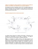 Etapas del ciclo de vida. Material de PVC