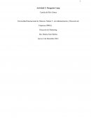 Actividad Marketing Patagonia Camp S.A