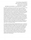 ¿Qué implica hacer crítica a la sociedad según T. Adorno?