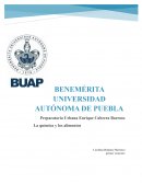 Química en los alimentos