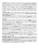 Desarrollo Sustentable. Conceptos