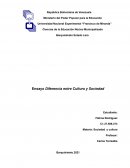 Diferencia entre cultura y sociedad