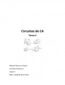 Reporte de Practica de Circuitos Electricos