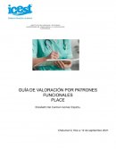 GUÍA DE VALORACIÓN POR PATRONES FUNCIONALES PLACE