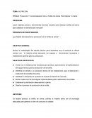 Producción Y Comercialización De La Tortilla De Avena Para Mejorar Tu Salud