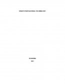 Ensayo paro nacional de Colombia 2021