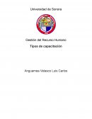 Gestión del Recurso Humano. Tipos de capacitación