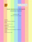 Ensayo analìsis de la informaciòn: “Consumidor turìstico”