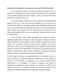 Ensayo sobre la aceptación o no aceptación de una Ley UPOV para Guatemala