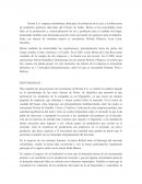 Analisis Financiero Brinsa S.A