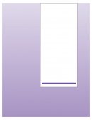 Apuntes de Primeros Auxilios