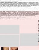 INFOGRAFÍA SOBRE MICOSIS SISTÉMICA "BLASTOMICOSIS"